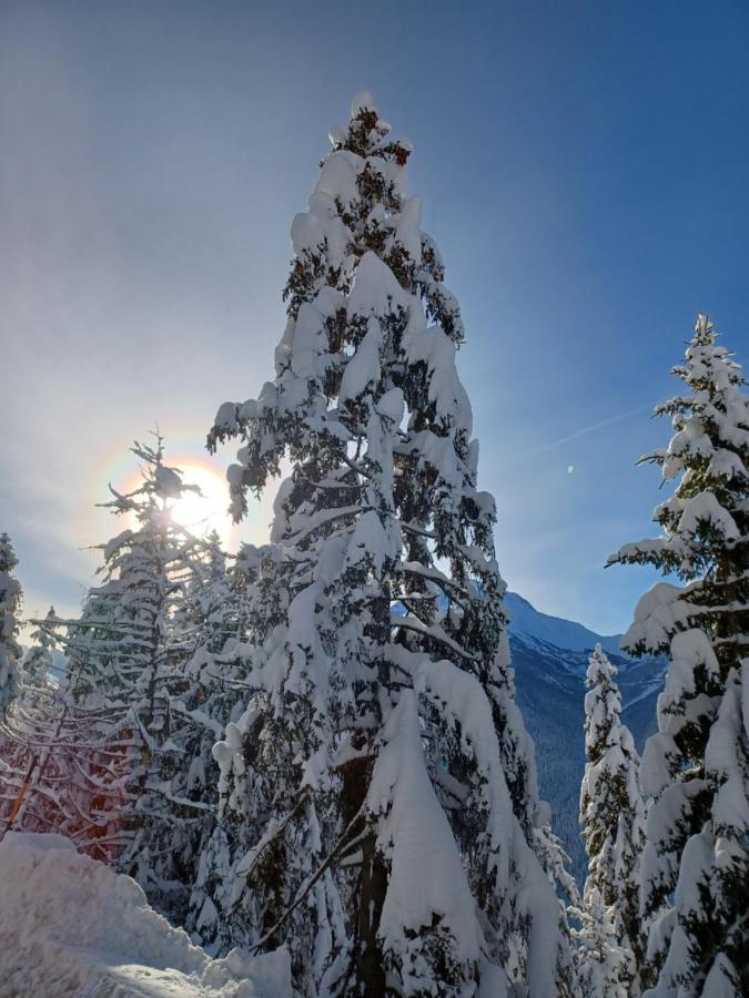 Chalet Les Clarines Leilighet La Rosiere  Eksteriør bilde